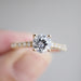 Anillo Compromiso Oro 14k Mod. GJIP45-005
