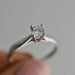 Anillo Compromiso Oro Blanco 14k 176/5