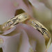 PAR Alianzas Matrimoniales 14K 01555H 98/2A0
