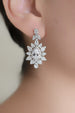 Arete Plata Zirconia ER908