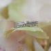 Churumbela Diamante Oro Blanco 14k P1 B25984B/368