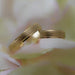 PAR Alianzas Matrimoniales 14K 060534 120/2A4