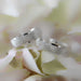 PAR Alianza Matrimoniales 14K B120616 159/4A1