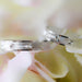PAR Alianzas Matrimoniales 14K 114-4B 75/2A1