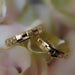 PAR Alianzas Matrimoniales 14K 00496H 62/1A5
