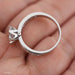 Anillo Compromiso Oro Blanco 14k 176/3