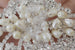 Peineta Plateada con Perlas y Cristal TP20